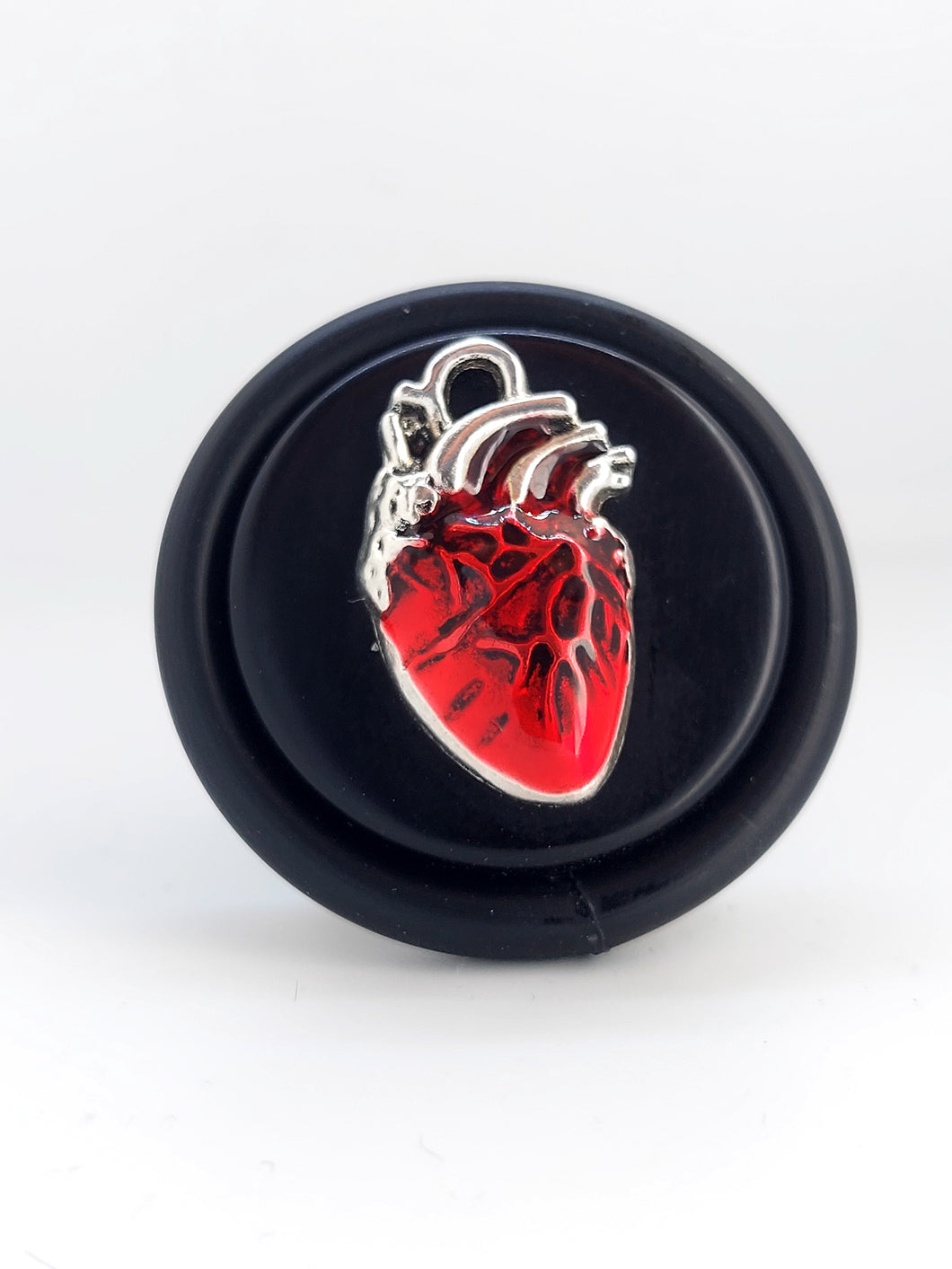 Anello Cuore anatomia